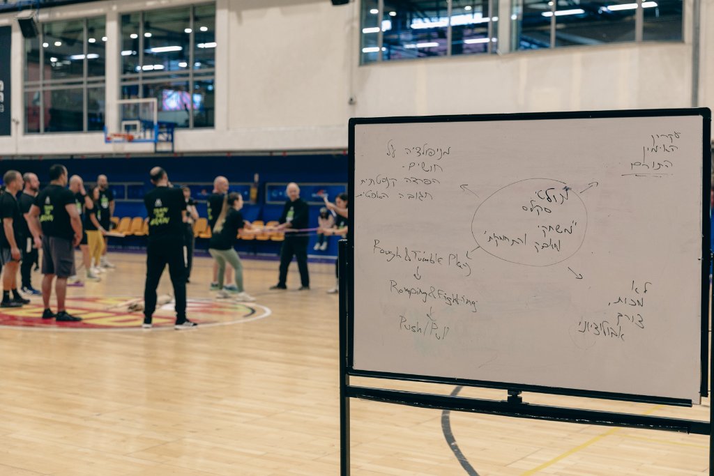 Whiteboard